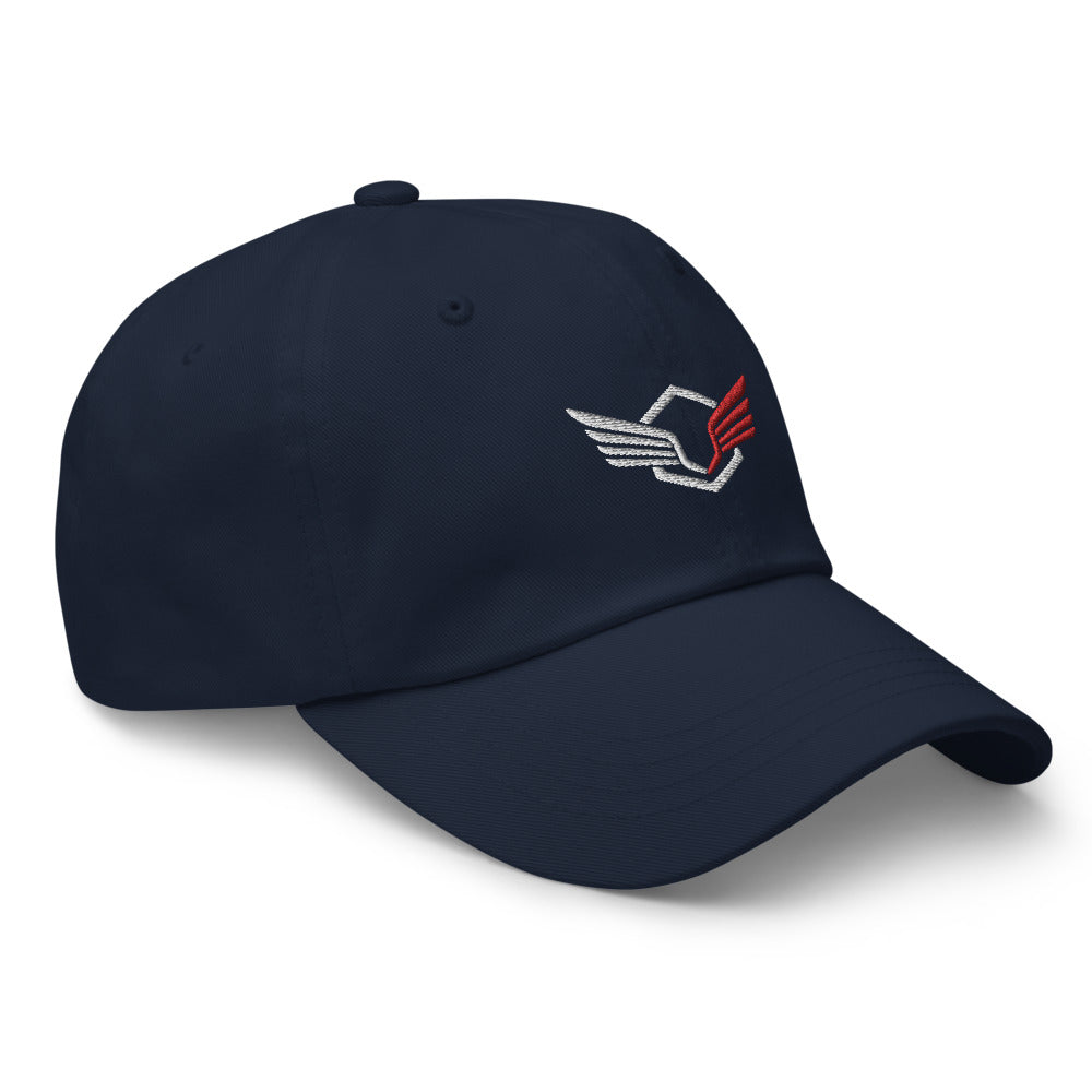 Falcon Wing Unisex Hat