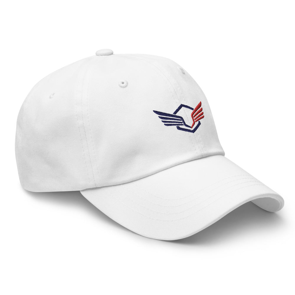 Falcon Wing Unisex Hat